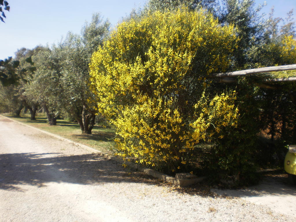 Locanda Degli Etruschi Montalto di Castro Exterior foto